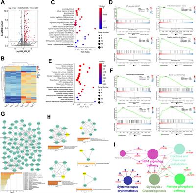 Comprehensive Transcriptome Analysis of mRNA Expression Patterns Associated With Enhanced Biological Functions in Periodontal Ligament Stem Cells Subjected to Short-Term Hypoxia Pretreatment